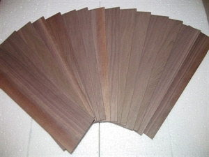 Ten Thin Pieces Walnut Lumber  12