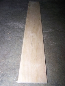 10 Thin Sanded Poplar  24